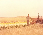 meir saida at a flower field on the family farm before the establishment of Hashtil Nursery